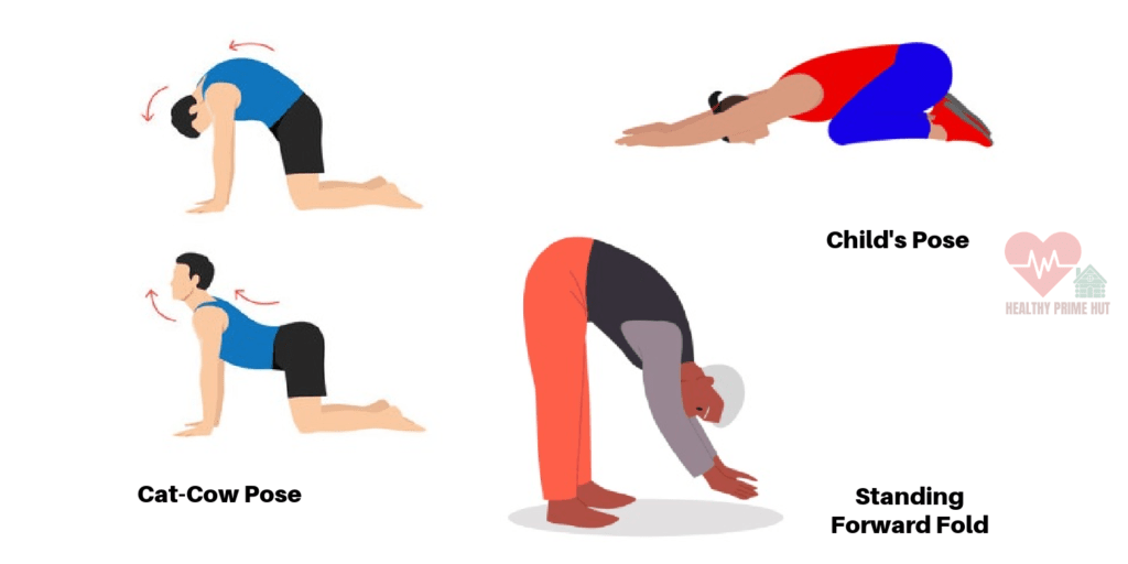 Gentle Yoga Poses for Seniors with Back Pain