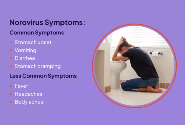 what are norovirus symptoms